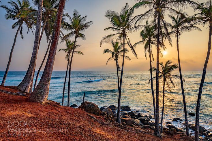South Coast Luxury Custom Tour in Sri Lanka